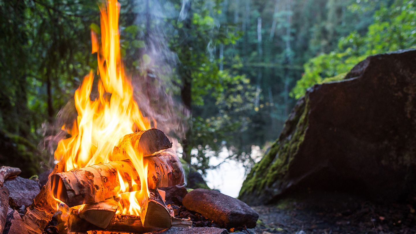 Feuerstelle im Wald